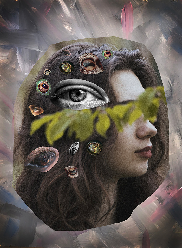 Montage of woman's head in profile view with animal eyes pasted on it. Art by Kirsten DeZeeuw.